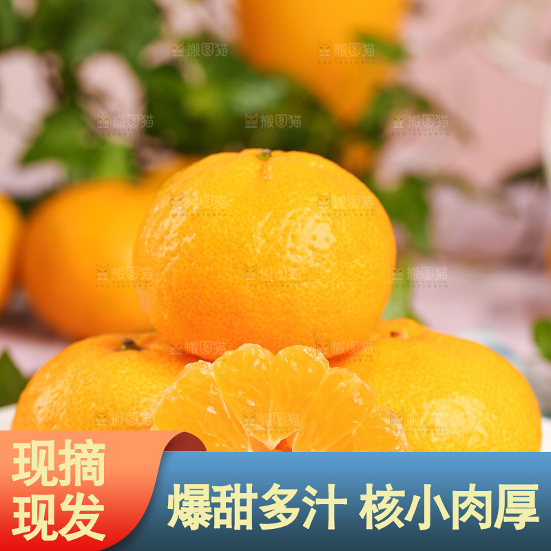 碟子里装着椪柑橘