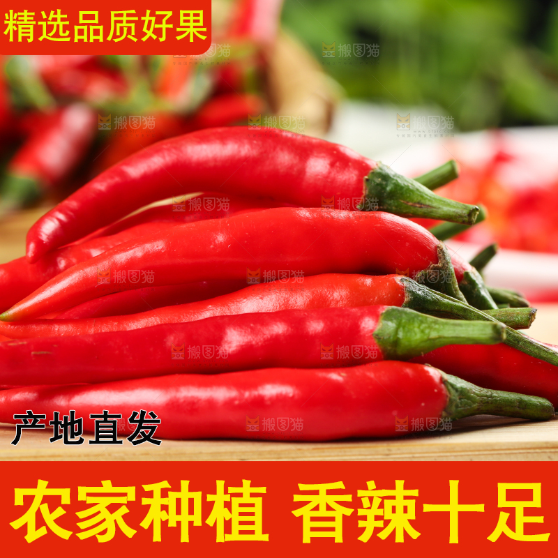 木底上放着小米椒