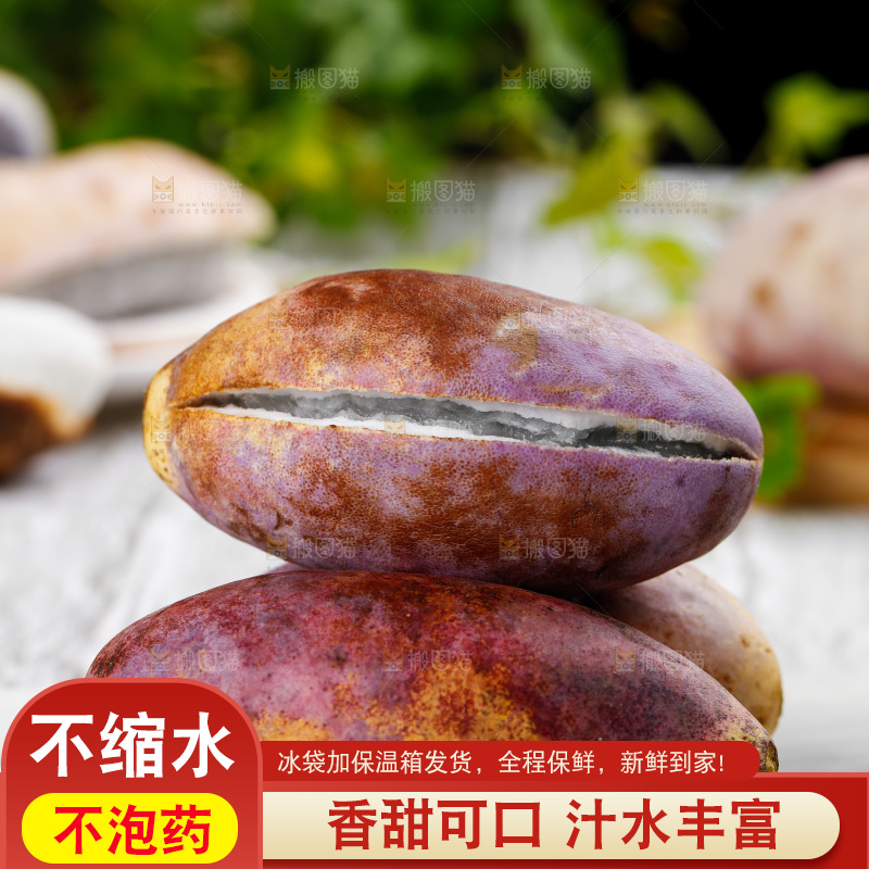 白底上摆放着八月瓜