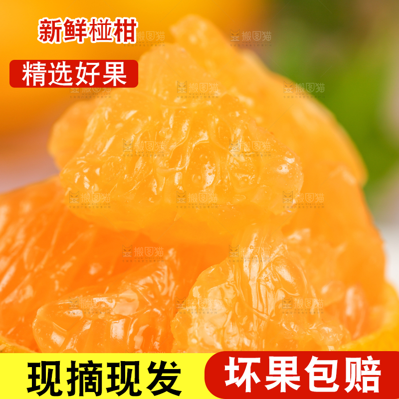 白底上放着椪柑