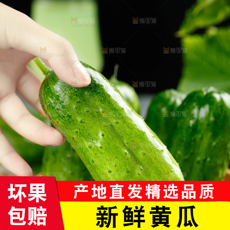 篮子里放着青瓜