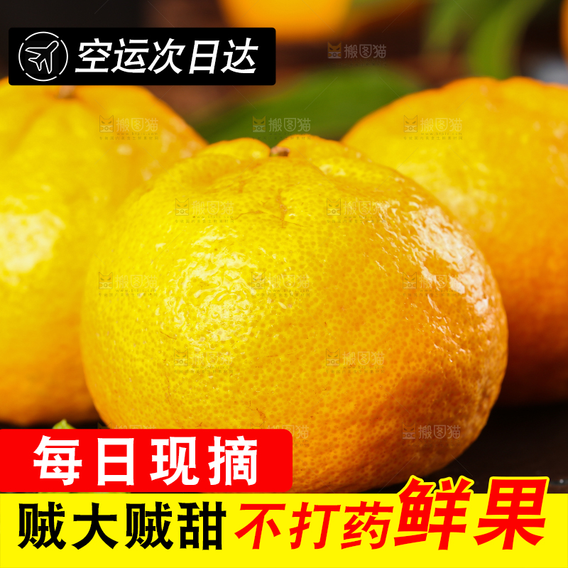 黑底上摆放着椪柑