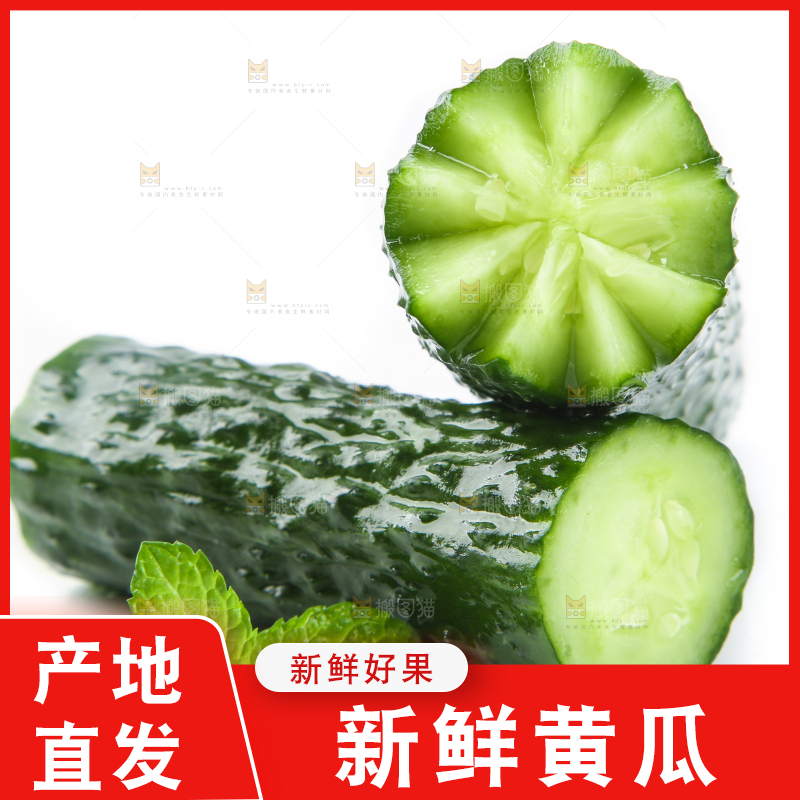 白底上摆放着黄瓜