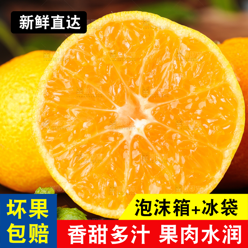 黑底上摆放着椪柑