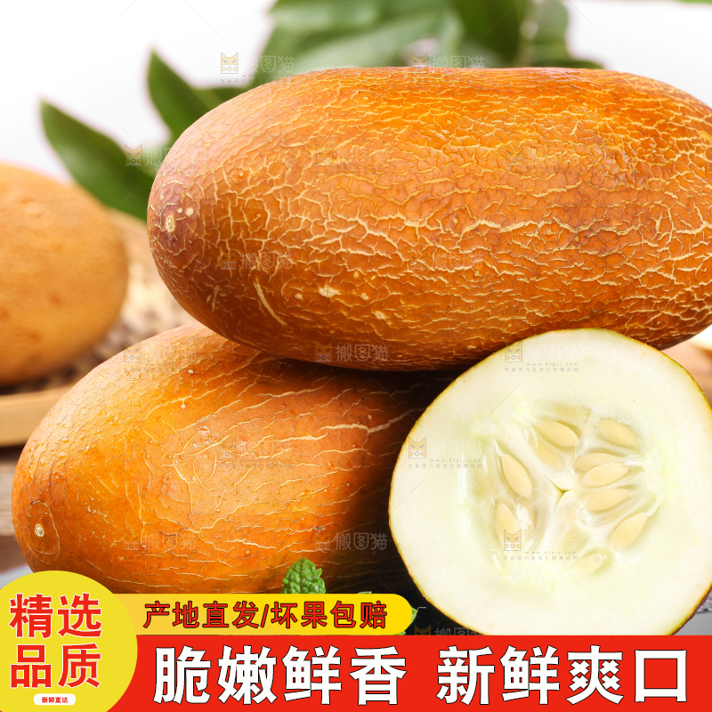 深底上摆放着老黄瓜
