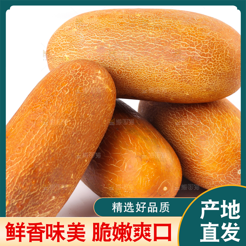 白底上摆放着老黄瓜