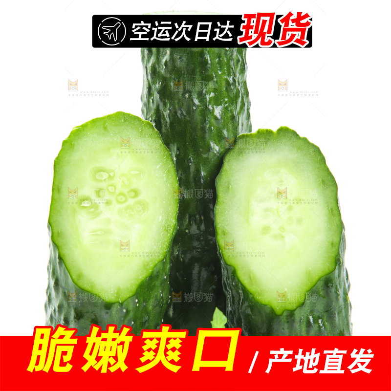白底上摆放着黄瓜