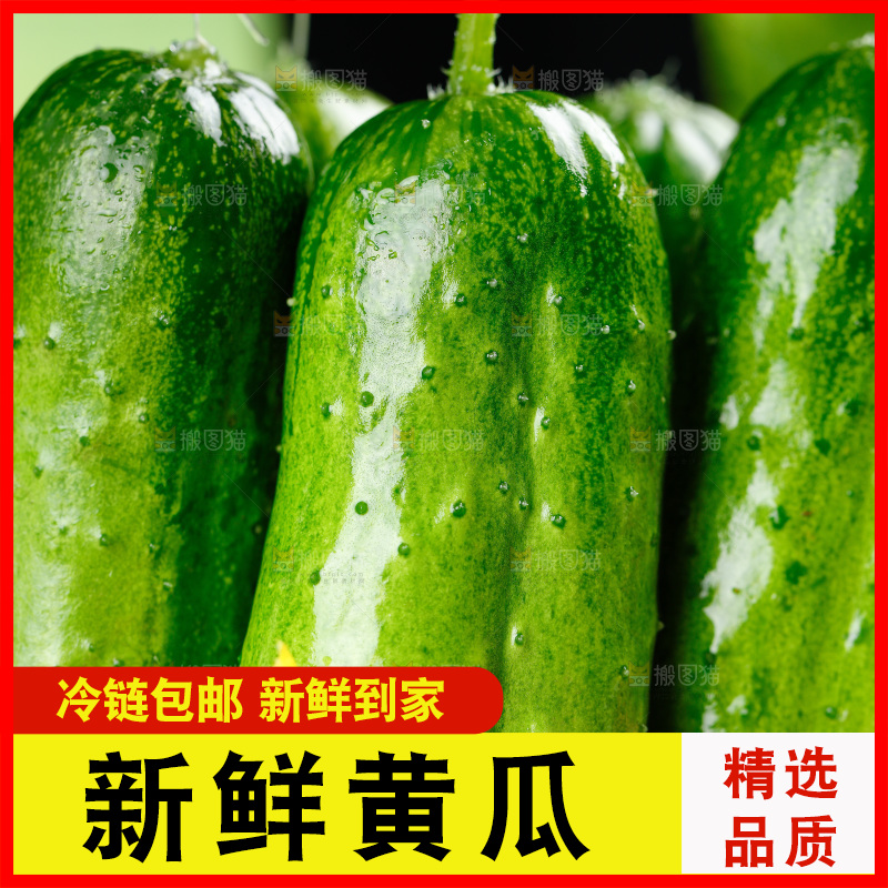 篮子里放着青瓜