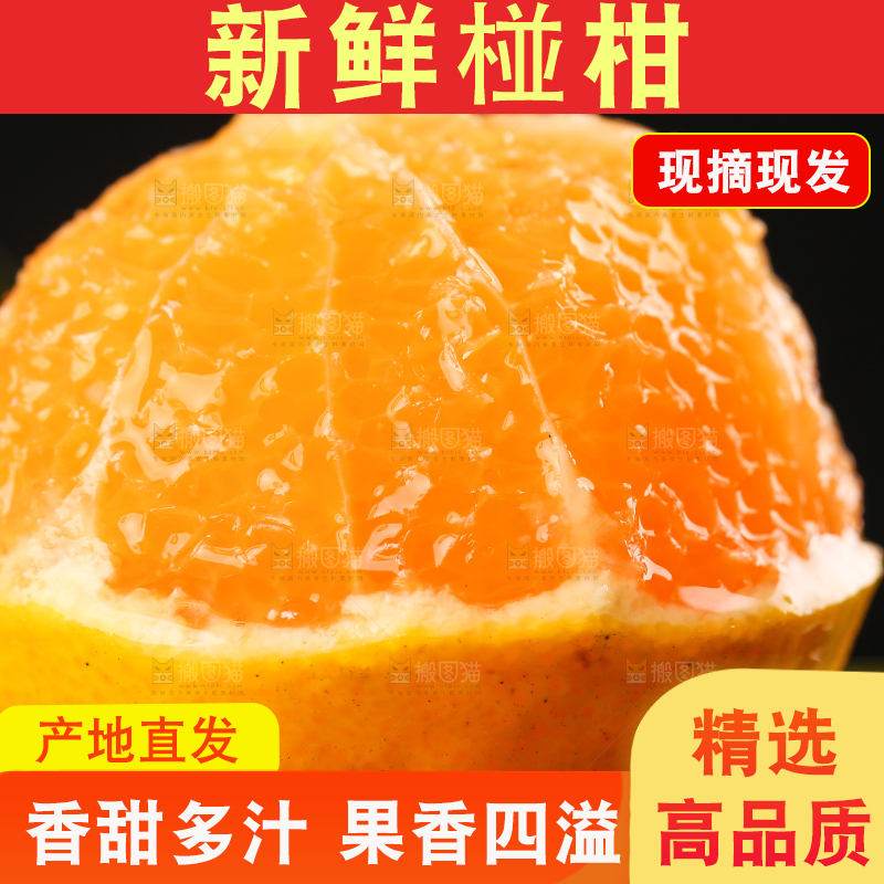 手里拿着芦柑