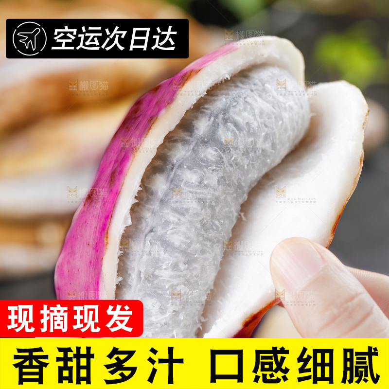 手里拿着八月炸