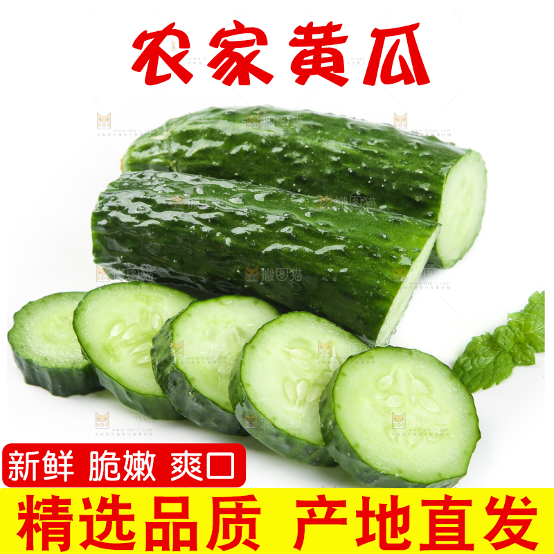 白底上摆放着黄瓜