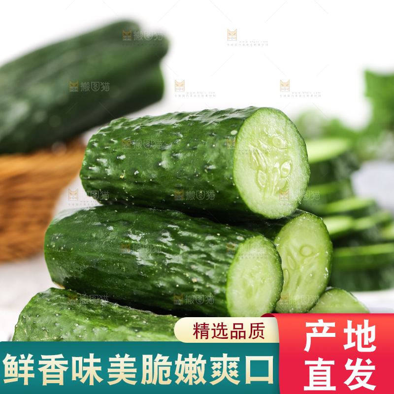 木底上堆放着新鲜黄瓜