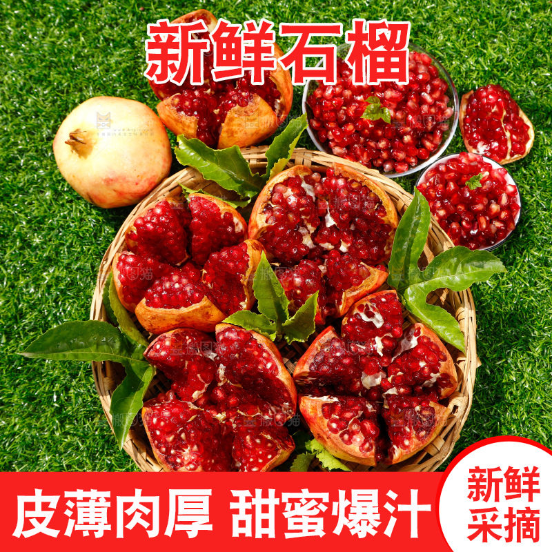 绿地上摆放着石榴