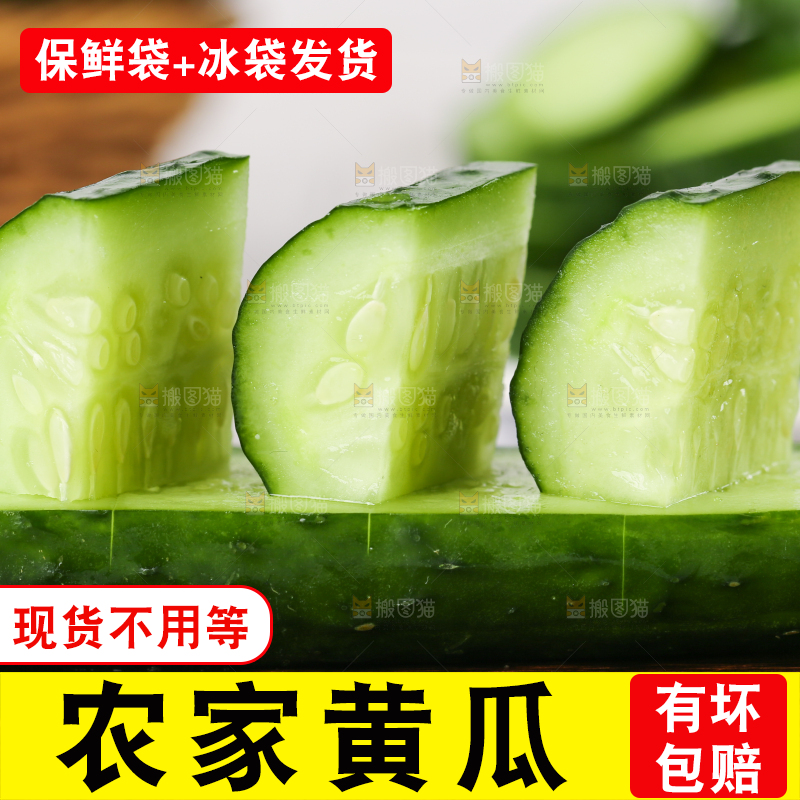 木底上堆放着新鲜黄瓜