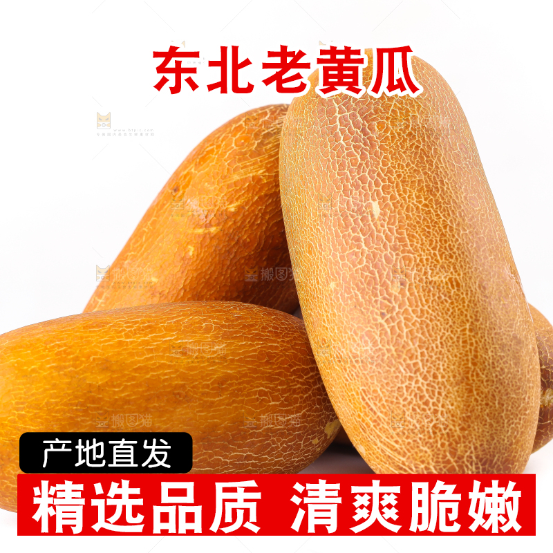 白底上摆放着老黄瓜