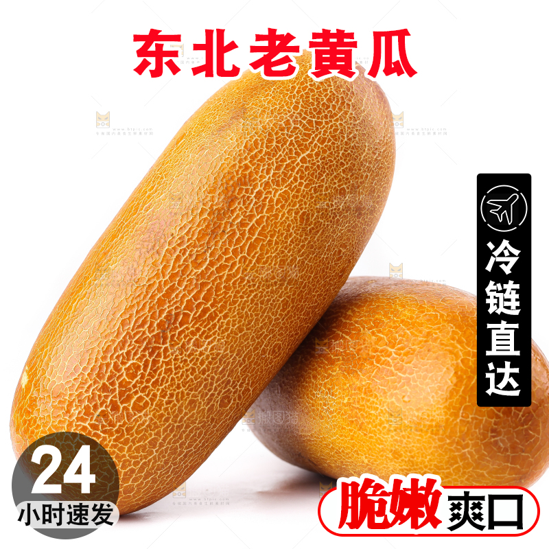 白底上摆放着老黄瓜