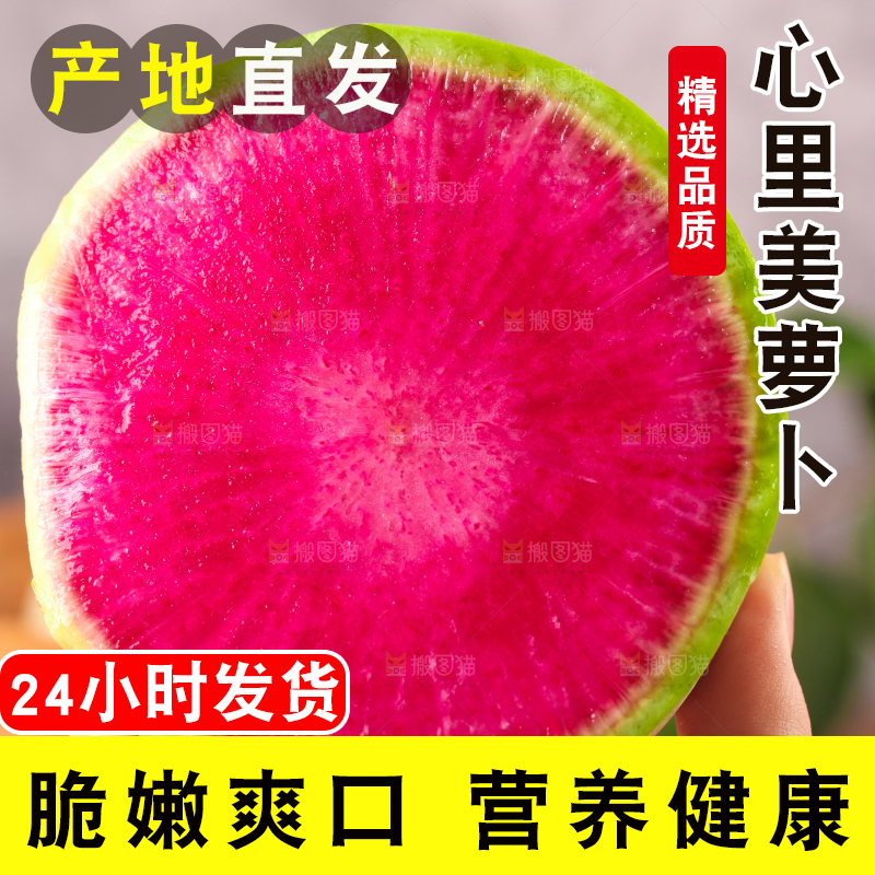 手里拿着红心萝卜