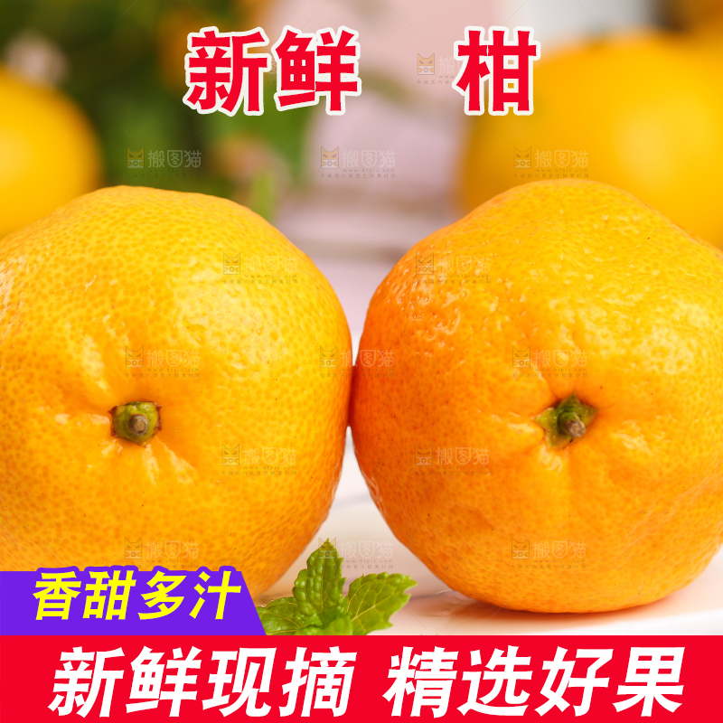 盘子里摆放着椪柑橘