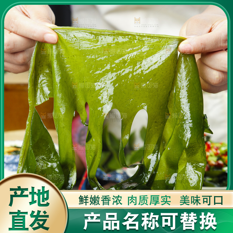手拿裙带菜