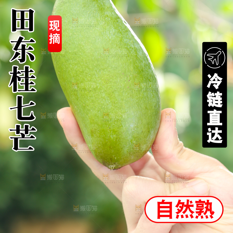 手拿田东桂七芒