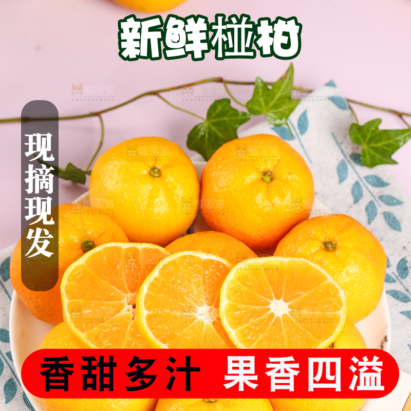 碟子里装着椪柑橘