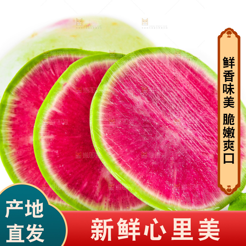 白底上的心里美萝卜