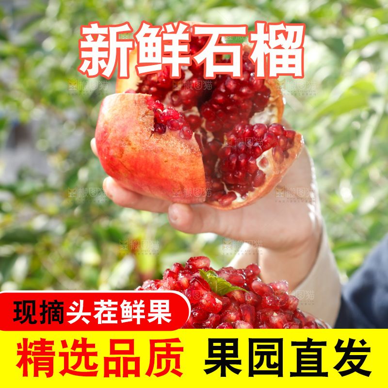 手里拿着红石榴