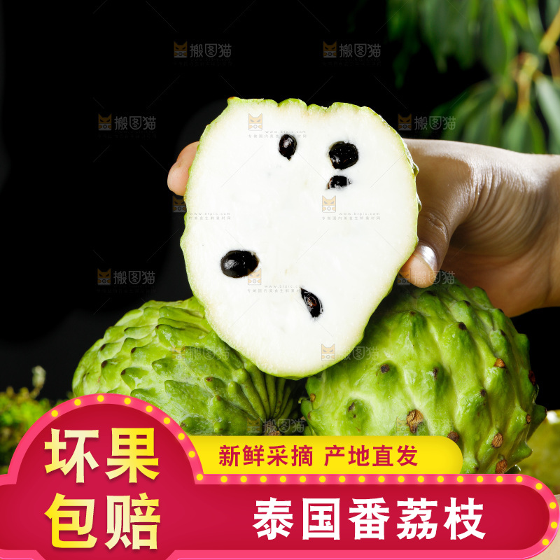 手里拿着牛奶释迦果