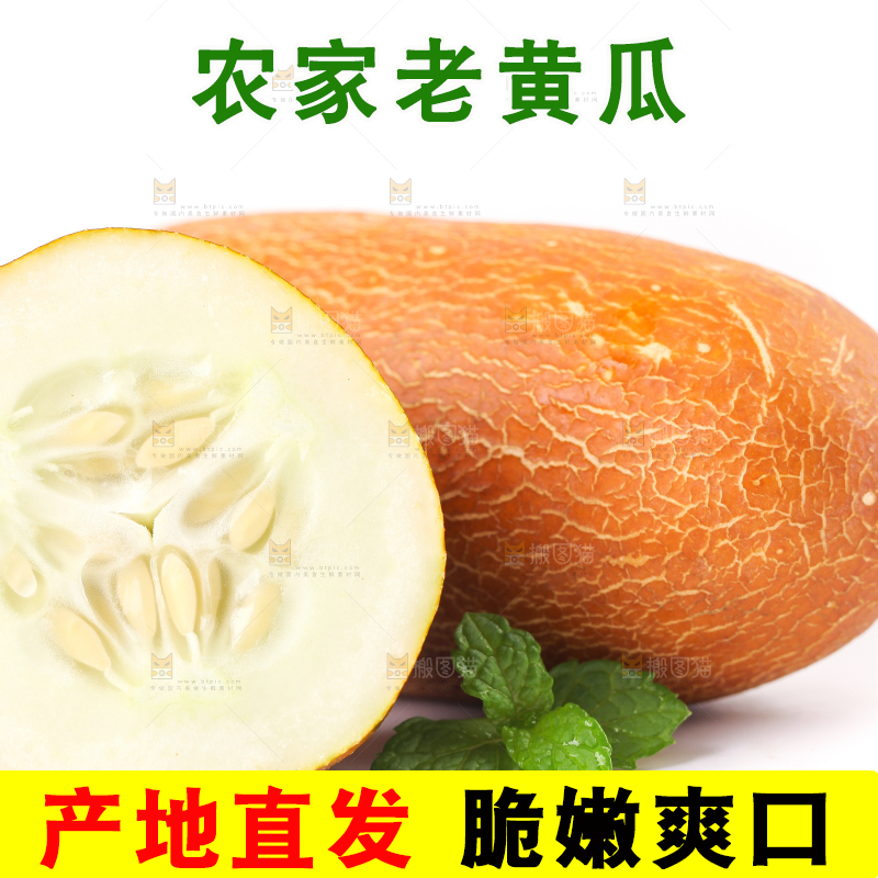 白底上摆放着老黄瓜