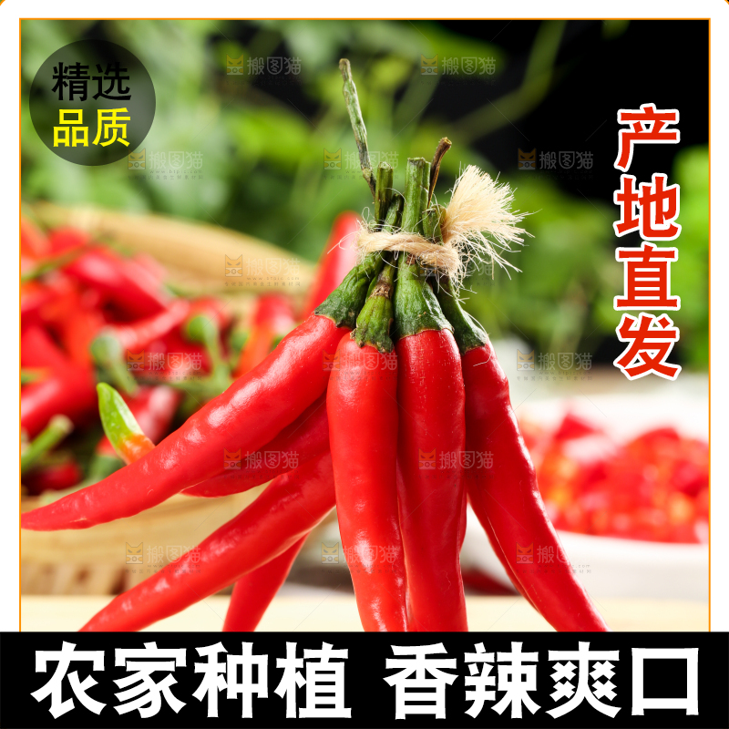 木底上放着小米椒