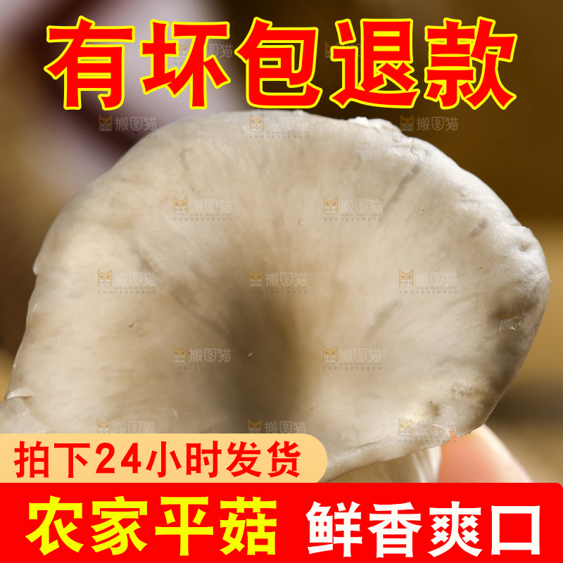 手里拿着平菇