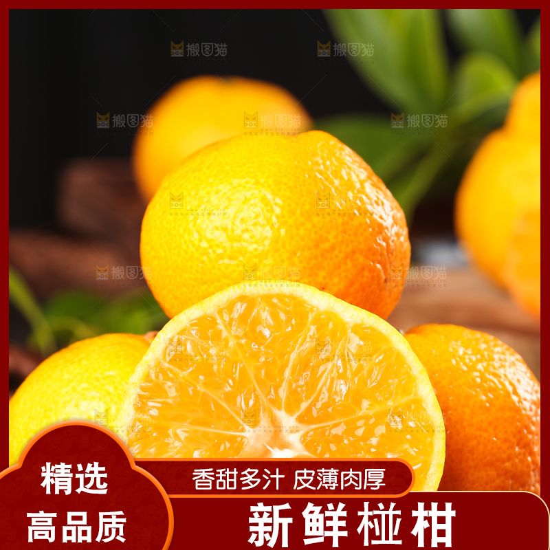 黑底上摆放着椪柑