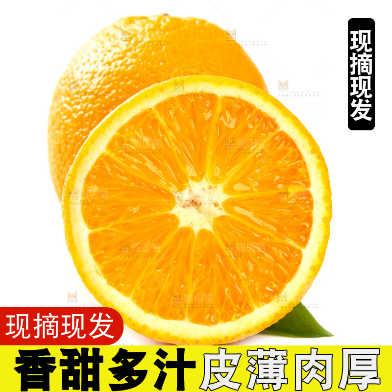 白底上摆放着橙子