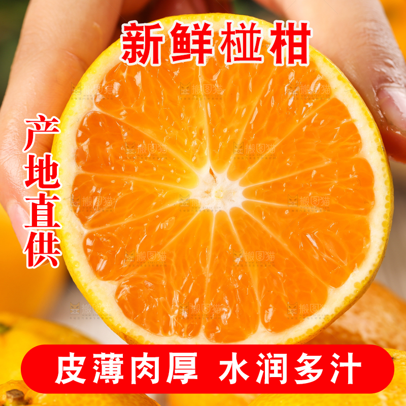 手里拿着芦柑