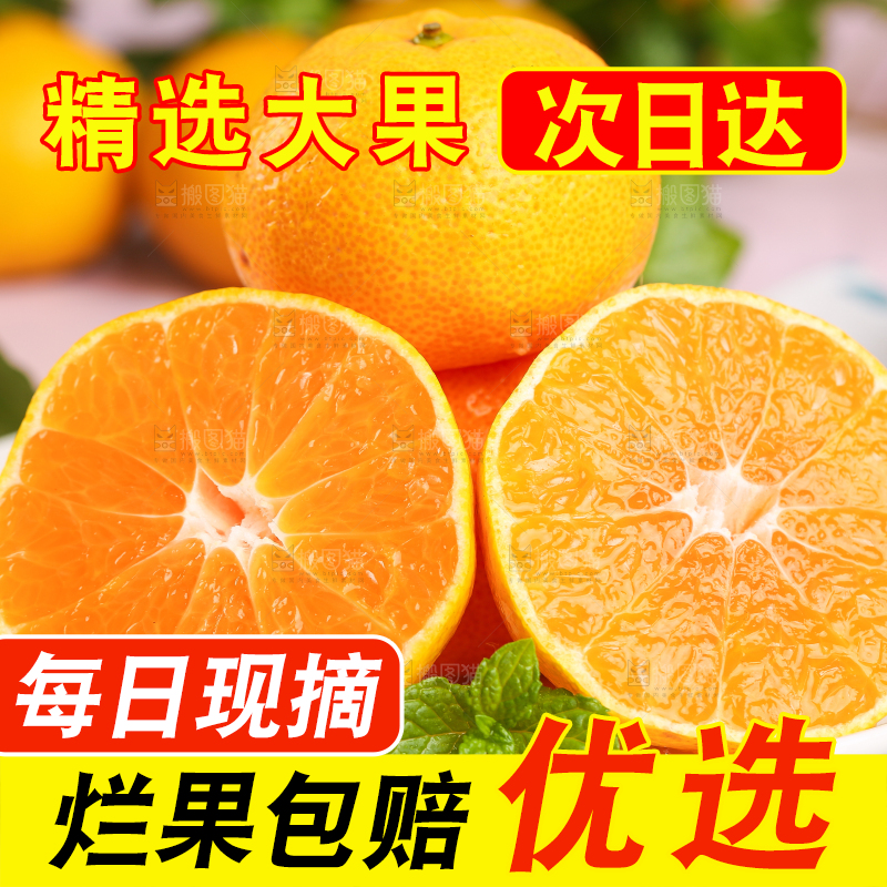 浅底上摆放着椪柑橘