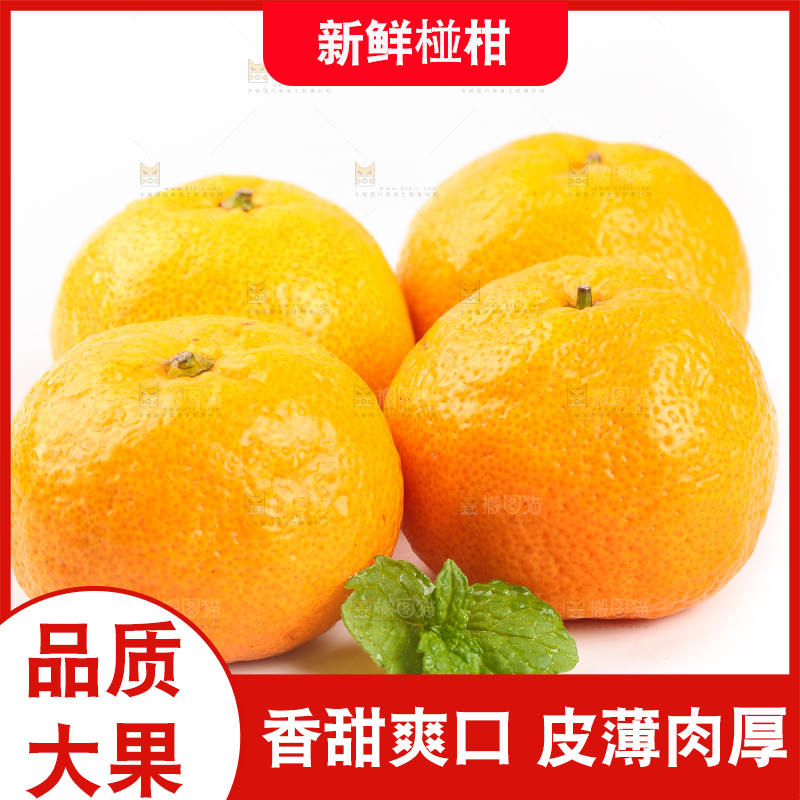 白底上摆放着椪柑橘