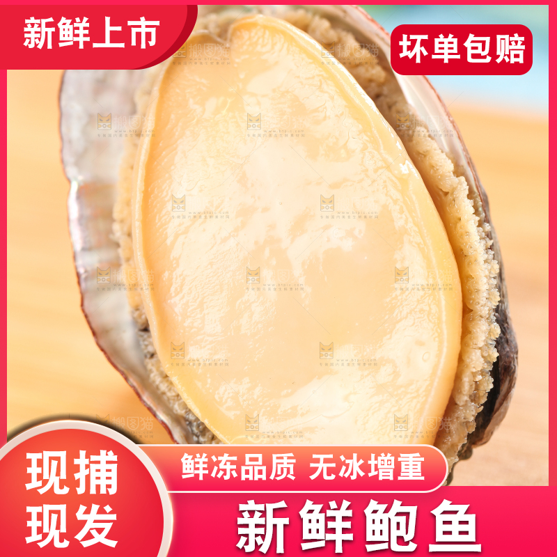 木底上放着鲜冻鲍鱼