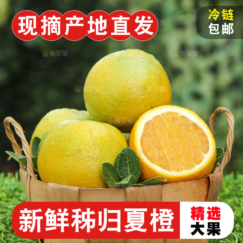 草地上放着一筐夏橙