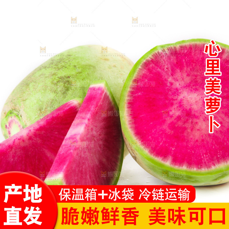 白底上的心里美萝卜