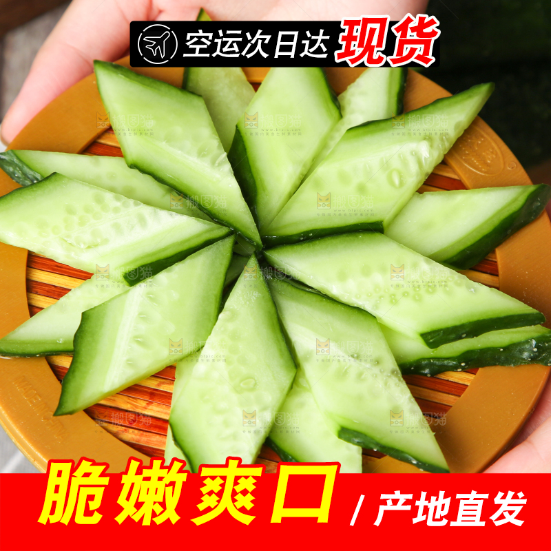 格子底上摆放着黄瓜