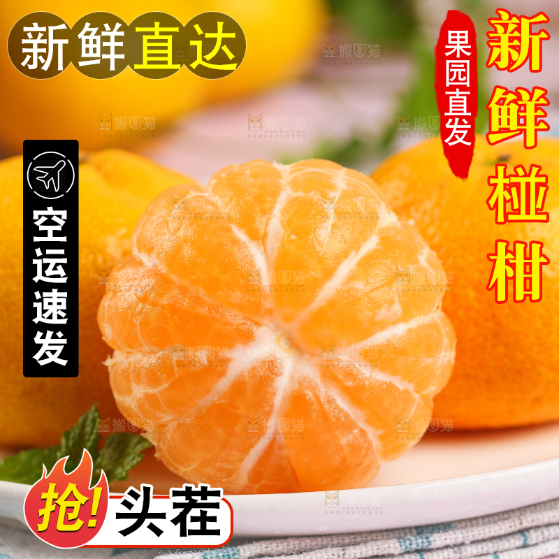 盘子里摆放着椪柑橘