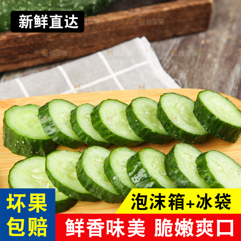 格子底上摆放着黄瓜