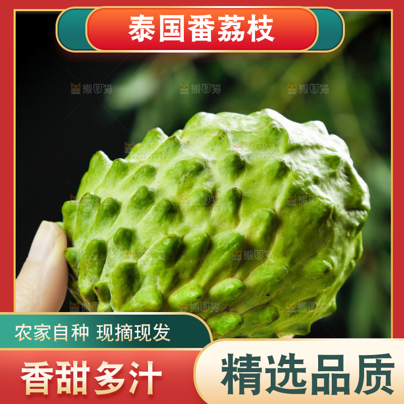 手里拿着释迦果