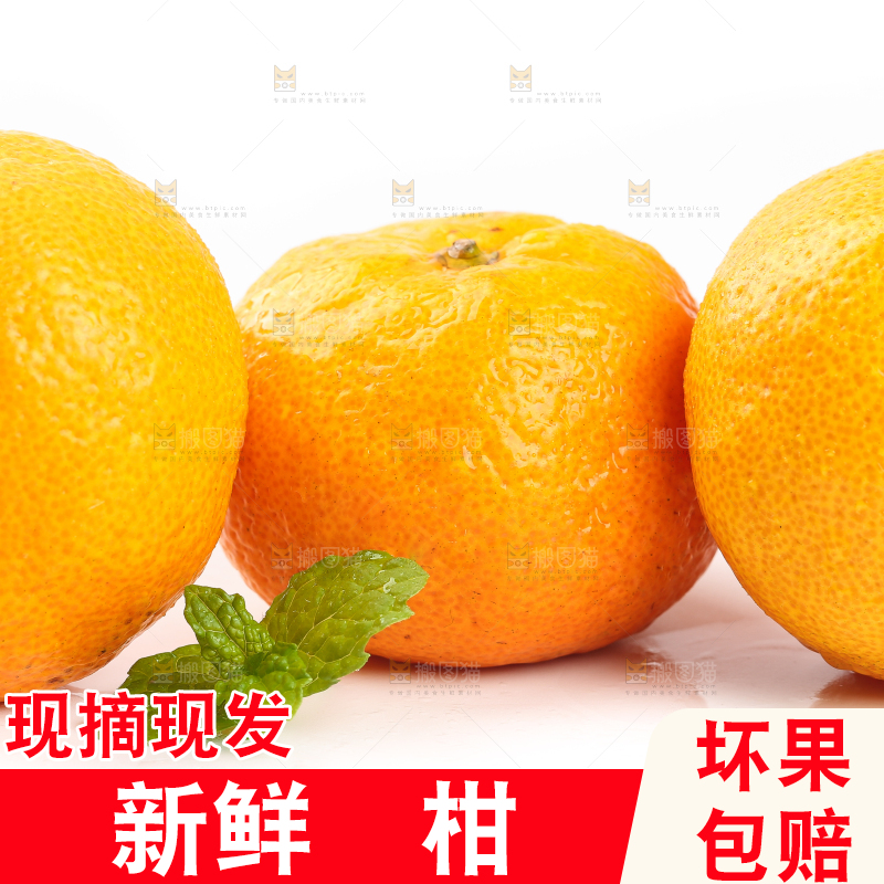 白底上摆放着椪柑橘