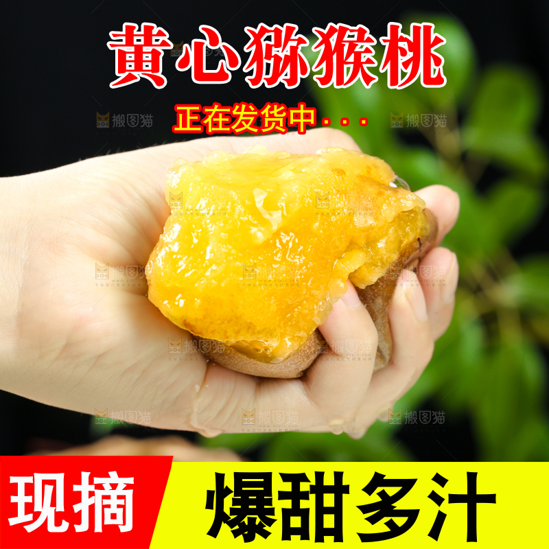 手里拿着黄心猕猴桃