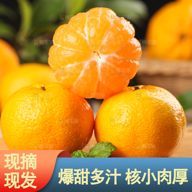木底上摆放着椪柑
