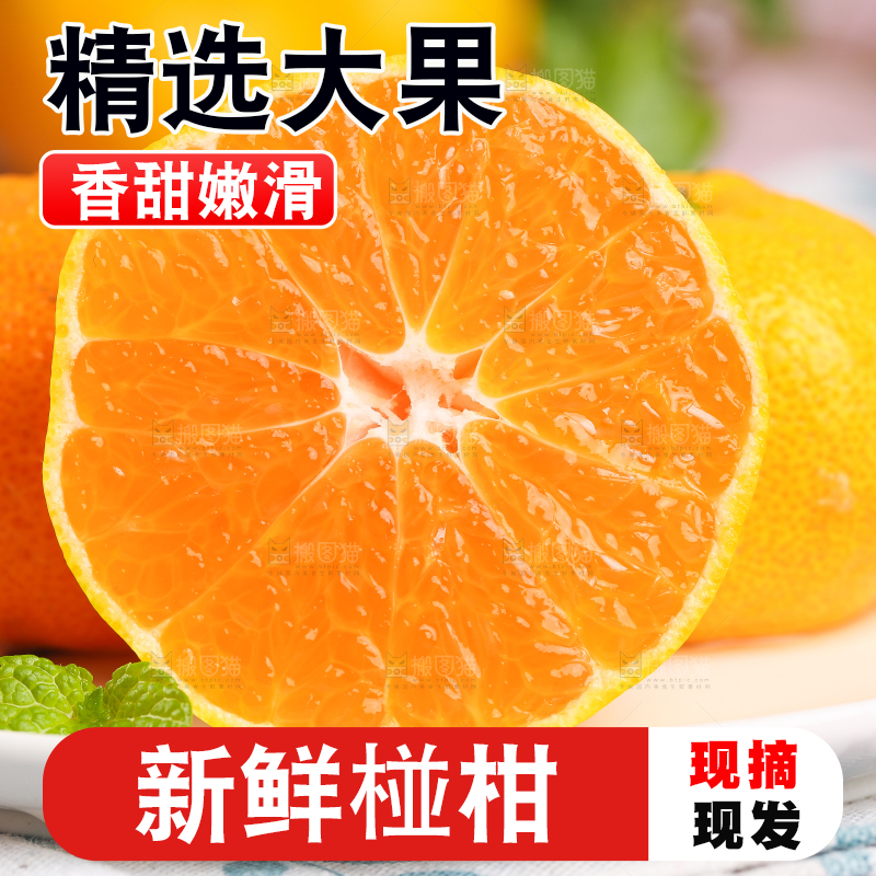 浅底上摆放着椪柑橘