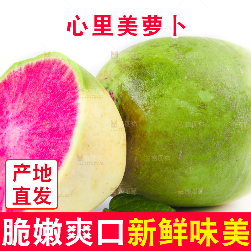 白底上的心里美萝卜