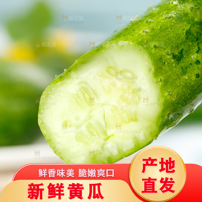 手里拿着黄瓜