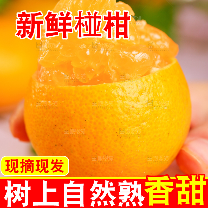 手里拿着芦柑